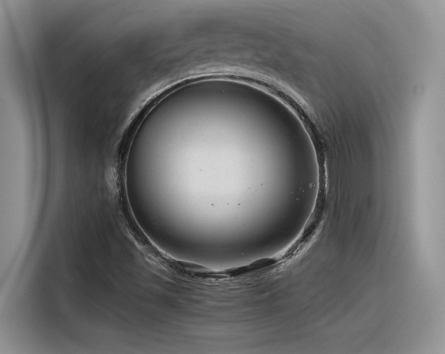 X0000116391501200912021529