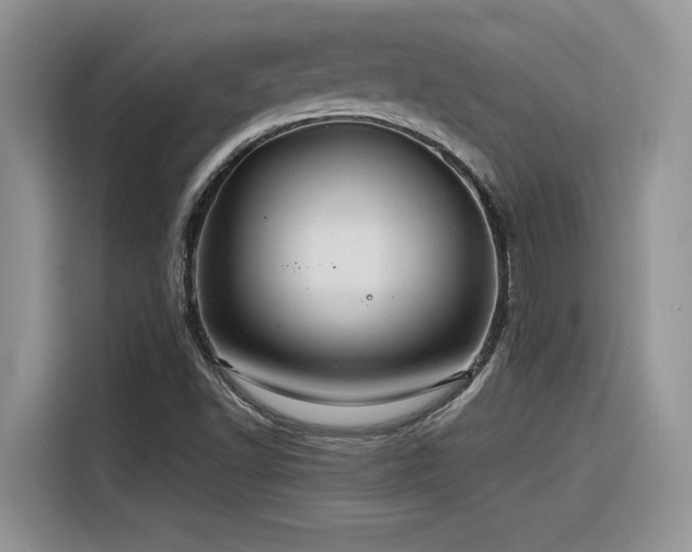 X0000116391502200912021529