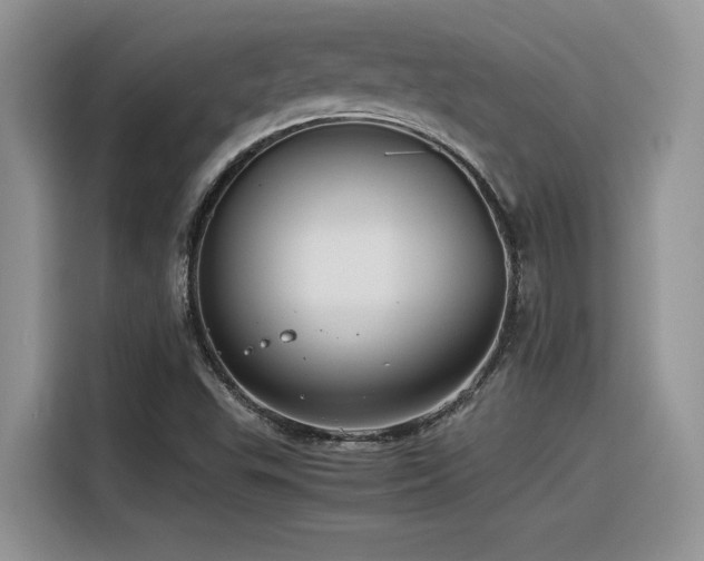 X0000116391503200912021529