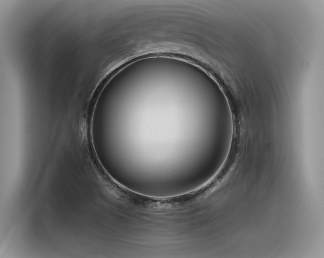 X0000116391505200912021529