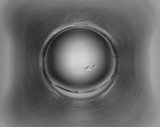 X0000116391506200912021529