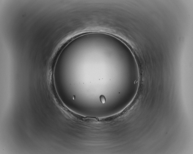 X0000116391507200912021529