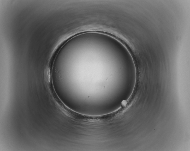X0000116391509200912021529