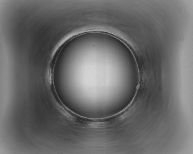 X0000116391510200912021529