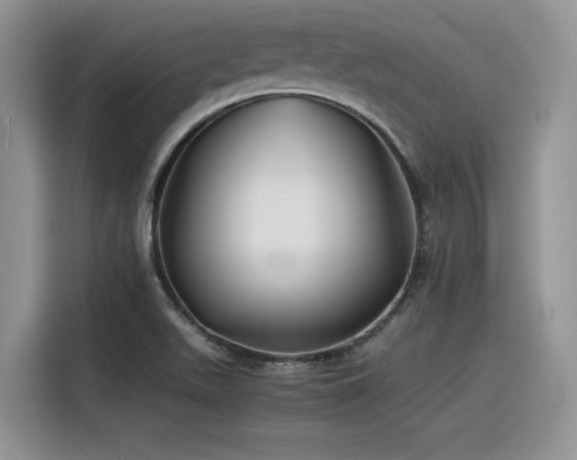 X0000116391511200912021529