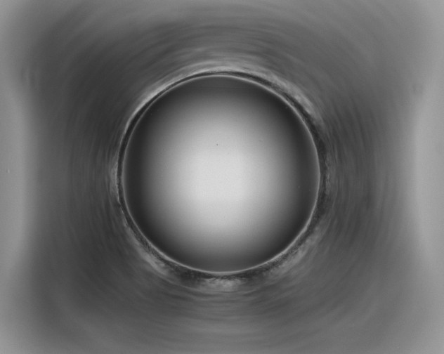 X0000116391513200912021529
