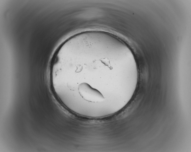 X0000116391514200912021529
