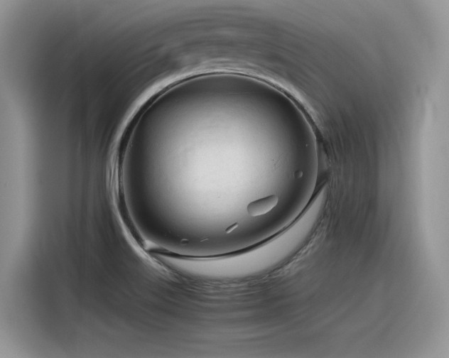 X0000116391515200912021529