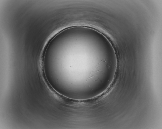 X0000116391517200912021529