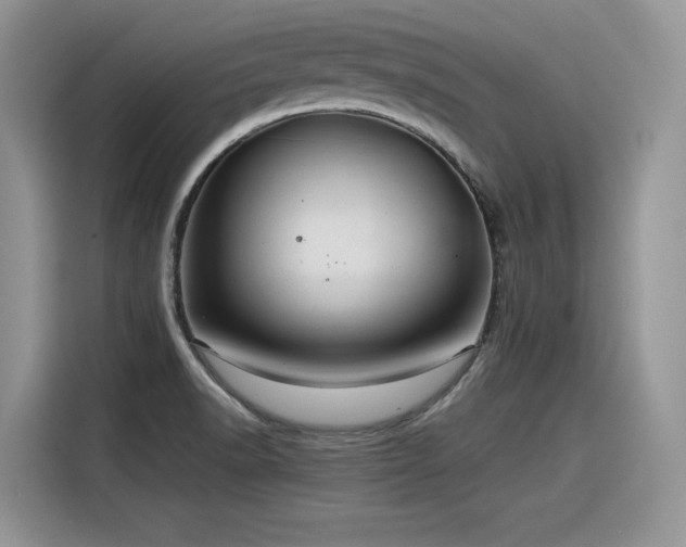 X0000116391518200912021529