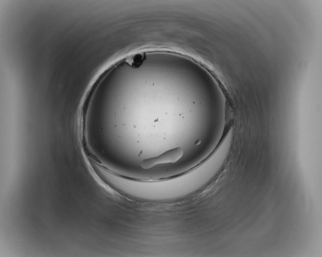 X0000116391519200912021529