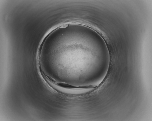 X0000116391522200912021529