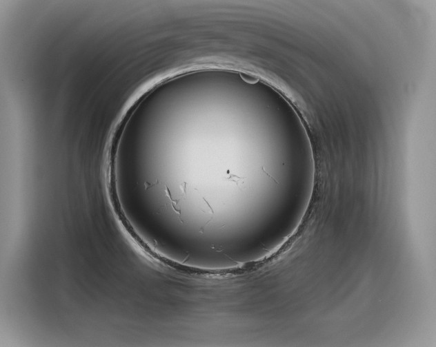 X0000116391523200912021529