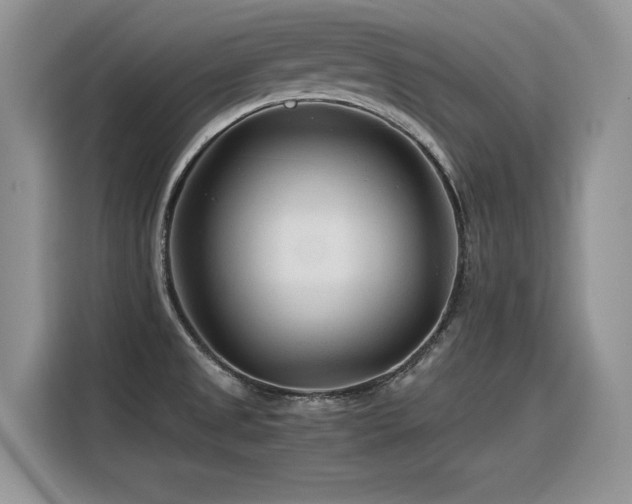 X0000116391525200912021529