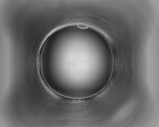 X0000116391526200912021529