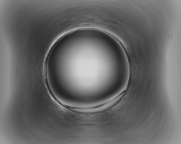 X0000116391527200912021529