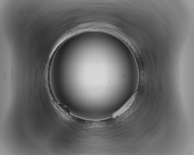 X0000116391530200912021529