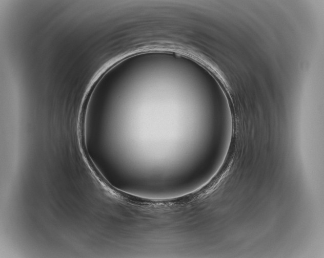 X0000116391533200912021529