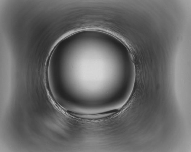 X0000116391534200912021529