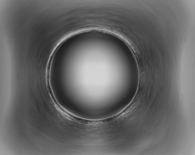 X0000116391535200912021529