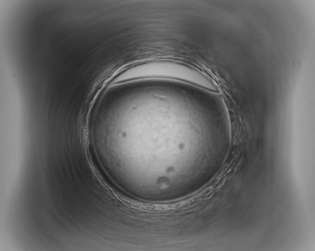X0000116390002200912091444