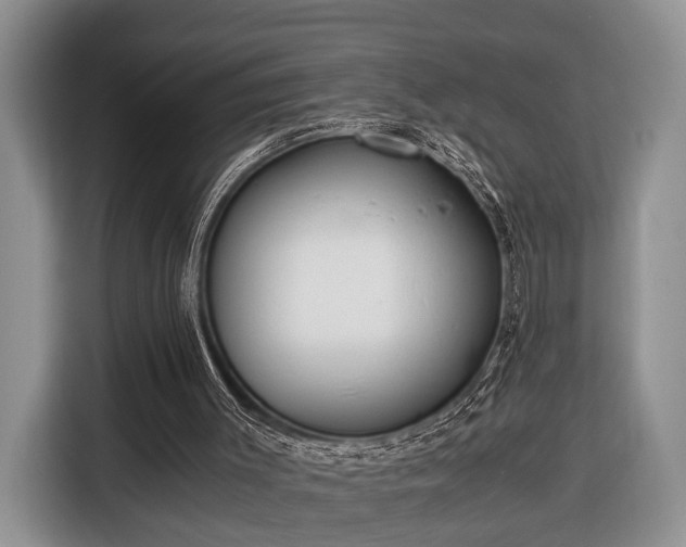 X0000116390003200912091444