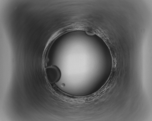 X0000116390004200912091444
