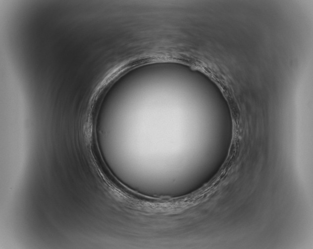 X0000116390005200912091444