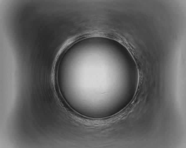 X0000116390006200912091444