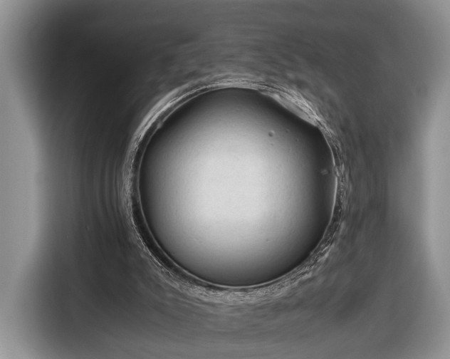 X0000116390007200912091444