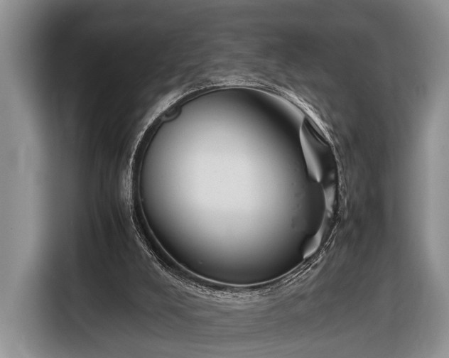 X0000116390008200912091444