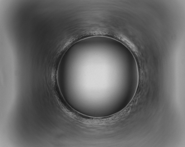 X0000116390009200912091444