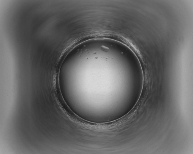 X0000116390010200912091444