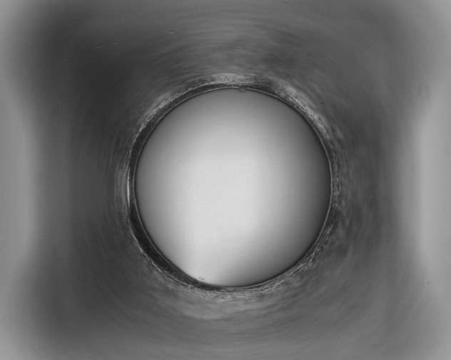 X0000116390011200912091444