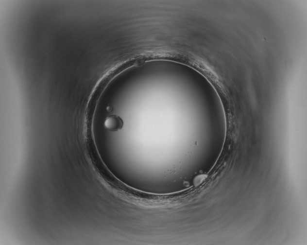 X0000116390012200912091444