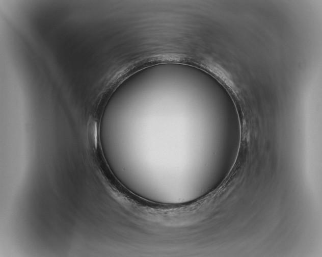 X0000116390013200912091444