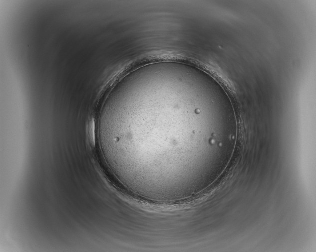 X0000116390014200912091444