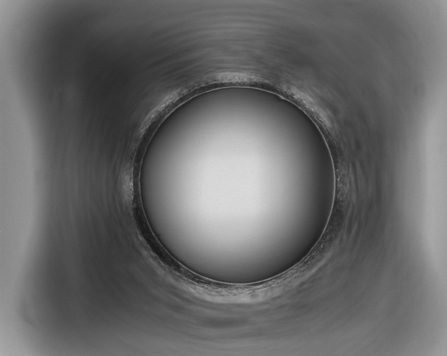X0000116390015200912091444