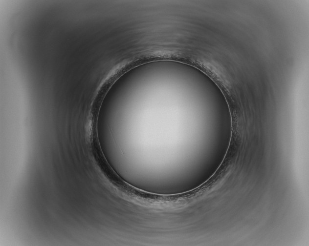 X0000116390016200912091444