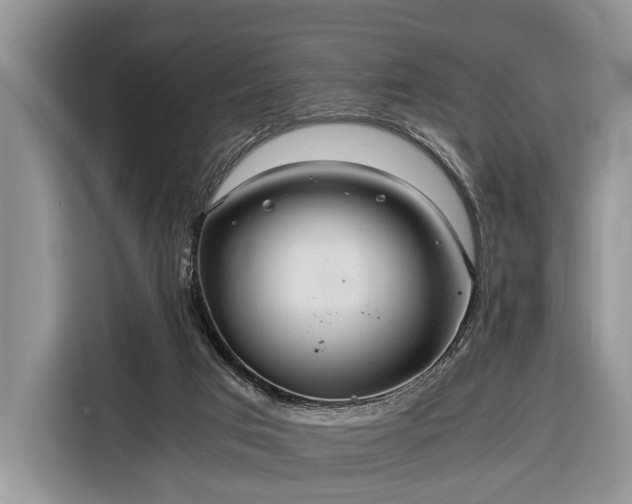 X0000116390017200912091444