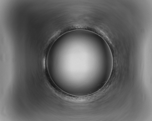 X0000116390019200912091443