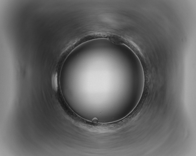 X0000116390020200912091443