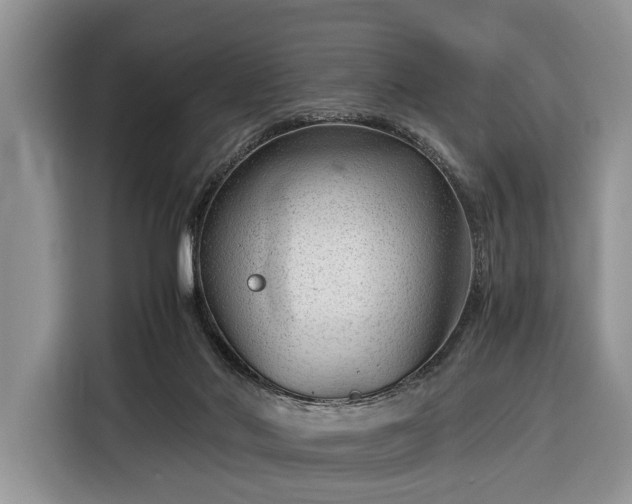 X0000116390022200912091443