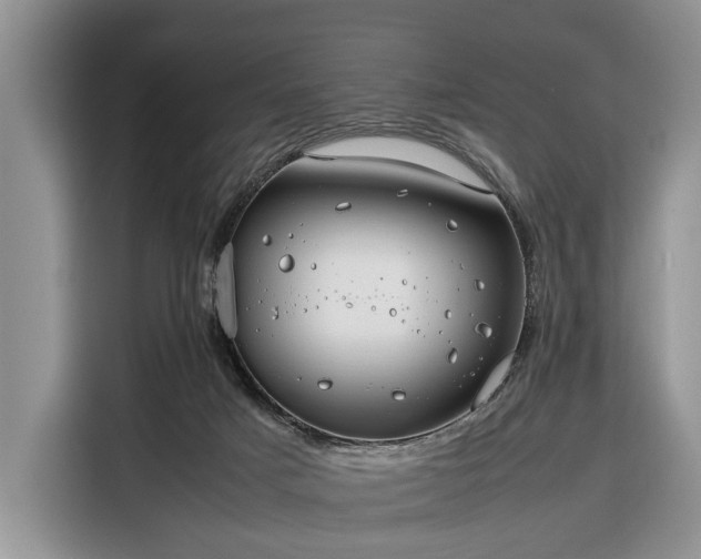 X0000116390025200912091443