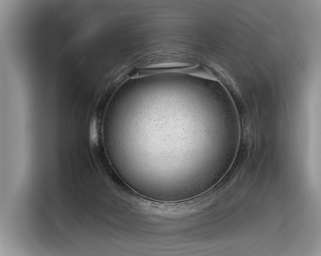 X0000116390026200912091443