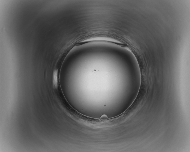 X0000116390028200912091443