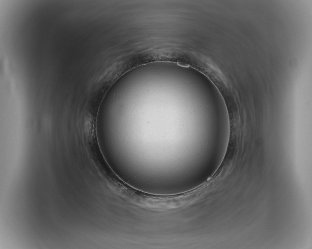X0000116390029200912091443
