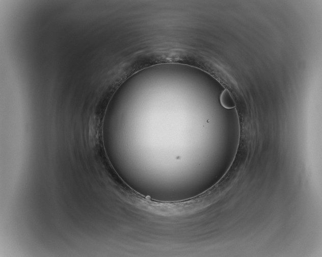 X0000116390030200912091443