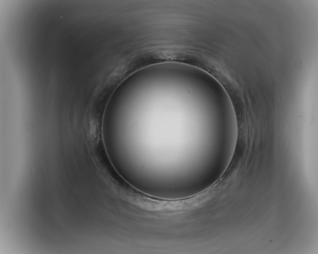 X0000116390031200912091443