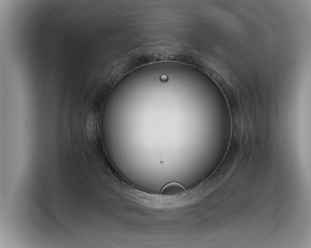X0000116390034200912091443